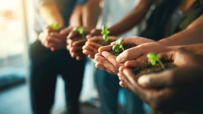 Carbon neutrality (Shutterstock) Carbon neutrality (Shutterstock)