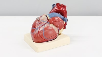 Know when is angioplasty preferred. (Unsplash) Know when is angioplasty preferred. (Unsplash)