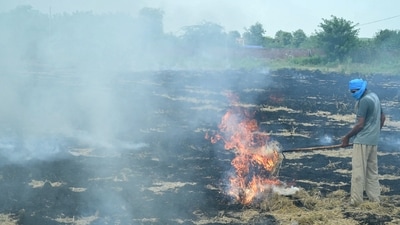 A farmer burns straw stubble after a harvest in a paddy field on the outskirts of Amritsar on September 16. (AFP) A farmer burns straw stubble after a harvest in a paddy field on the outskirts of Amritsar on September 16. (AFP)