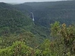Govt file on setting up tiger reserve in Goa is missing, SC mandated panel told Govt file on setting up tiger reserve in Goa is missing, SC mandated panel told