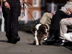 Check out America’s most popular dog breed in 2025