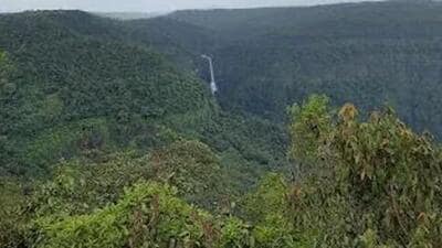 Govt file on setting up tiger reserve in Goa is missing, SC mandated panel told Govt file on setting up tiger reserve in Goa is missing, SC mandated panel told