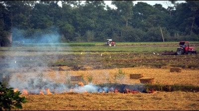 The season of farm fires has already begun in Punjab with the first blaze reported from Amritsar on September 16. (Sameer Sehgal/HT) The season of farm fires has already begun in Punjab with the first blaze reported from Amritsar on September 16. (Sameer Sehgal/HT)