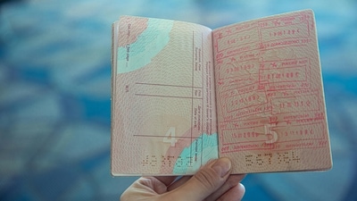 Indians make up for nearly 70 percent of H-1B visas issued, as per USCIS data of 2024. Image for representation. (Pexels) Indians make up for nearly 70 percent of H-1B visas issued, as per USCIS data of 2024. Image for representation. (Pexels)