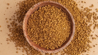Dr Sethi said the best seed for blood sugar control is fenugreek seeds (methi). (Freepik) Dr Sethi said the best seed for blood sugar control is fenugreek seeds (methi). (Freepik)