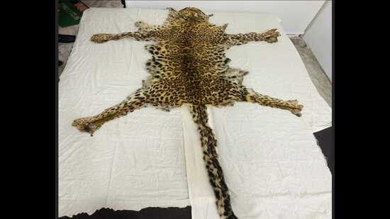 The leopard skin could have been sourced from Himachal Pradesh, say officials. (HT File)