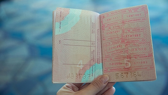 Indians make up for nearly 70 percent of H-1B visas issued, as per USCIS data of 2024. Image for representation. (Pexels)