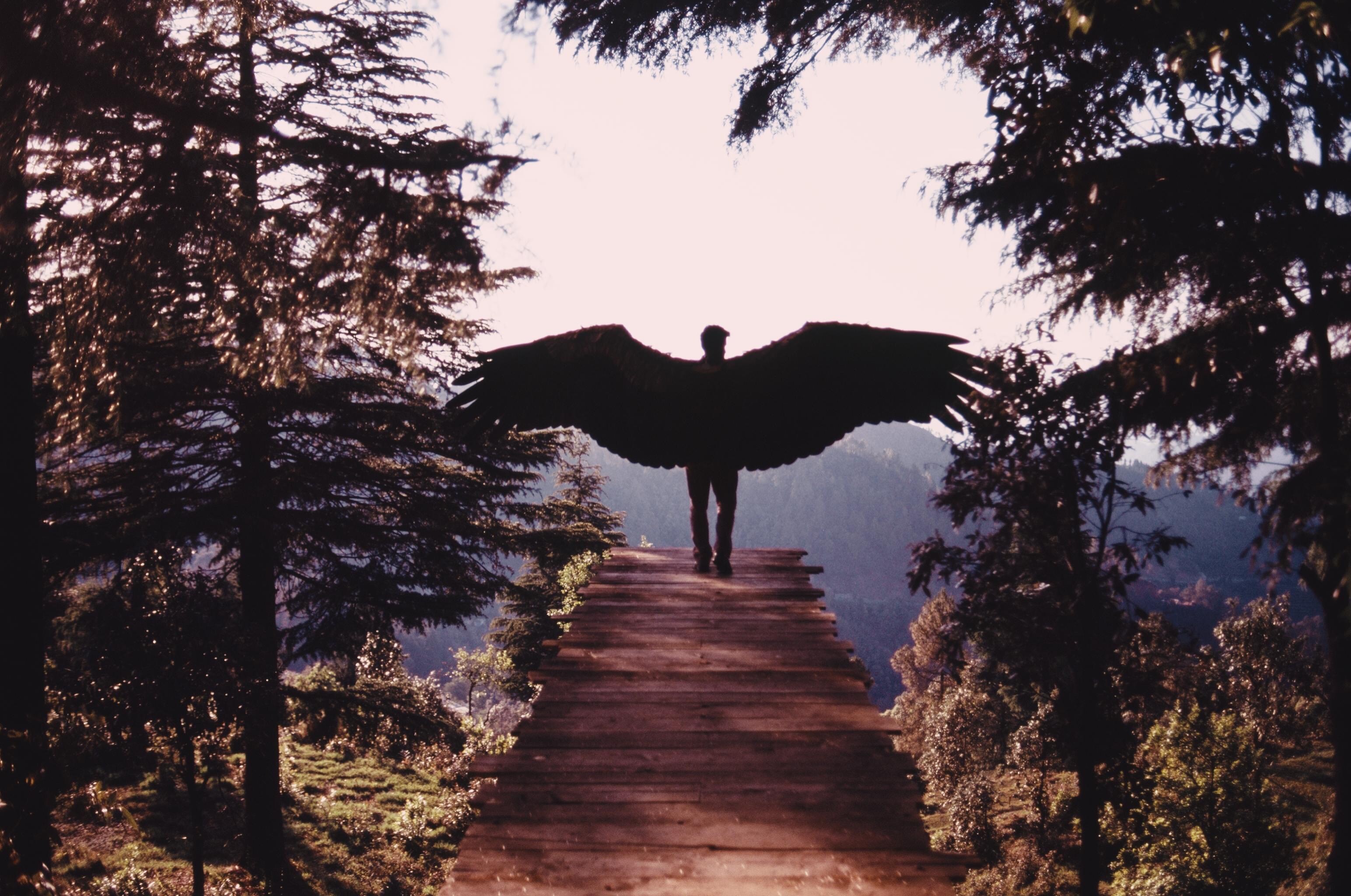 In the film, Dev, straps on giant mechanical wings and leaps off the edge of the estate. He will do this over and over, as he watches over his apple trees, and later watches them burn. In the film, Dev, straps on giant mechanical wings and leaps off the edge of the estate. He will do this over and over, as he watches over his apple trees, and later watches them burn.