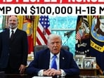 'Stupid people', 'nonsense': Trump on $100,000 H-1B visa annual fee move