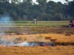 The season of farm fires has already begun in Punjab with the first blaze reported from Amritsar on September 16. (Sameer Sehgal/HT) The season of farm fires has already begun in Punjab with the first blaze reported from Amritsar on September 16. (Sameer Sehgal/HT)