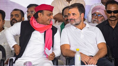 Congress leader Rahul Gandhi and SP's Akhilesh Yadav (PTI/File) Congress leader Rahul Gandhi and SP's Akhilesh Yadav (PTI/File)