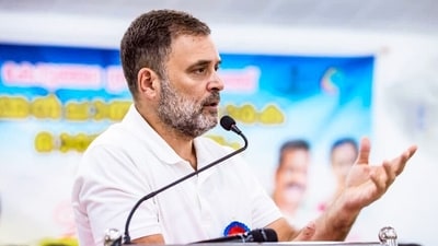 Lok Sabha LoP and Congress MP Rahul Gandhi (AICC) Lok Sabha LoP and Congress MP Rahul Gandhi (AICC)