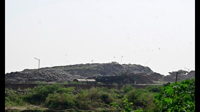Of the original 2.40 metric tonnes (MT) of waste, around 60,000 MT is left at the landfill, as per Chandigarh MC’s submission before NGT. (Ravi Kumar/HT) Of the original 2.40 metric tonnes (MT) of waste, around 60,000 MT is left at the landfill, as per Chandigarh MC’s submission before NGT. (Ravi Kumar/HT)