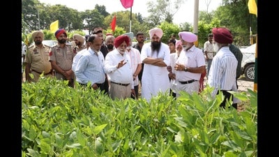 PAU V-C Satbir Singh Gosal along with Anandpur Sahib MP Malwinder Singh Kang at Kisan Mela in Ballowal Saunkhri in Ludhiana on Saturday. (HT Photo for representation) PAU V-C Satbir Singh Gosal along with Anandpur Sahib MP Malwinder Singh Kang at Kisan Mela in Ballowal Saunkhri in Ludhiana on Saturday. (HT Photo for representation)