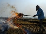 Smoke billows as a farmer burns stubble in a paddy field on the outskirts of Amritsar in Punjab on Saturday. (PTI)