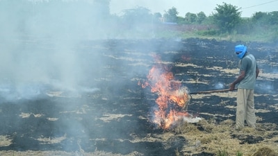 A farmer burns straw stubble after a harvest in a paddy field on the outskirts of Amritsar on Saturday. Stubble burning, especially after the paddy harvest in October and November, has been a significant contributor to air pollution in Delhi and the NCR. (AFP) A farmer burns straw stubble after a harvest in a paddy field on the outskirts of Amritsar on Saturday. Stubble burning, especially after the paddy harvest in October and November, has been a significant contributor to air pollution in Delhi and the NCR. (AFP)