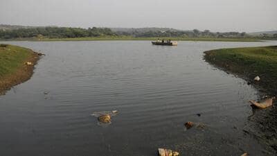 Presently, the water level in Damdama lake goes down during the summer season. Presently, the water level in Damdama lake goes down during the summer season.