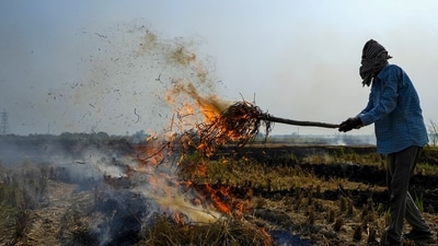 Smoke billows as a farmer burns stubble in a paddy field on the outskirts of Amritsar in Punjab on Saturday. (PTI) Smoke billows as a farmer burns stubble in a paddy field on the outskirts of Amritsar in Punjab on Saturday. (PTI)