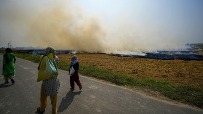 People walk by the road as smoke rises from a paddy field due to stubble burning on the outskirts of Amritsar, Punjab. (PTI) People walk by the road as smoke rises from a paddy field due to stubble burning on the outskirts of Amritsar, Punjab. (PTI)