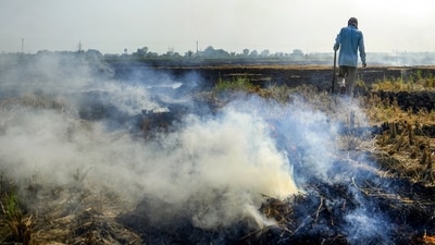 As farmers are seen burning stubble in Amritsar, Punjab, authorities have created a team, known as the parali protection force, which will share daily action-taken reports (PTI) As farmers are seen burning stubble in Amritsar, Punjab, authorities have created a team, known as the parali protection force, which will share daily action-taken reports (PTI)