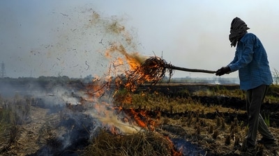 The season of farm fires has already begun in Punjab with the first blaze reported from Amritsar on September 16. (PTI) The season of farm fires has already begun in Punjab with the first blaze reported from Amritsar on September 16. (PTI)