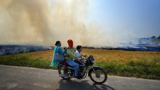 Commuters were seen riding in smoke a two-wheeler from stubble burning in a paddy field on the outskirts of Amritsar on Saturday, September 20.(PTI)