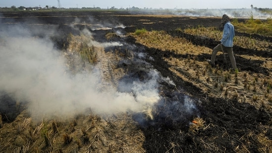 Smoke billows as a farmer burns stubble in a paddy field on the outskirts of Amritsar.(PTI)