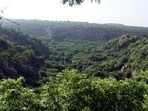 Retired Army officer moves NGT against Haryana’s forest notification, warning of Aravalli loss, SC violations, and threats to biodiversity, air and climate. (HT Archive) Retired Army officer moves NGT against Haryana’s forest notification, warning of Aravalli loss, SC violations, and threats to biodiversity, air and climate. (HT Archive)