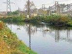 The issue resurfaced after workers at sewerage treatment plants complained of receiving coloured water, which eventually flows into the already polluted Buddha Nullah. (HT File Photo) The issue resurfaced after workers at sewerage treatment plants complained of receiving coloured water, which eventually flows into the already polluted Buddha Nullah. (HT File Photo)