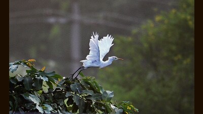 According to the India Meteorological Department, Chandigarh, with no rain on the horizon, the temperature can rise further in the coming days. (Ravi Kumar/HT) According to the India Meteorological Department, Chandigarh, with no rain on the horizon, the temperature can rise further in the coming days. (Ravi Kumar/HT)