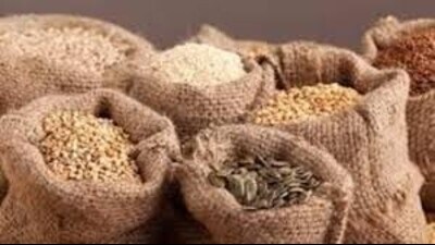 In Haryana, wheat is cultivated on approximately 60–62 lakh acre. (File)