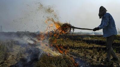 Stubble burning in Punjab and Haryana is often blamed for the rise in air pollution in Delhi after the harvesting of paddy in October and November. (PTI) Stubble burning in Punjab and Haryana is often blamed for the rise in air pollution in Delhi after the harvesting of paddy in October and November. (PTI)
