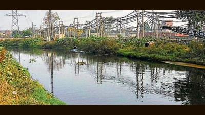The issue resurfaced after workers at sewerage treatment plants complained of receiving coloured water, which eventually flows into the already polluted Buddha Nullah. (HT File Photo)