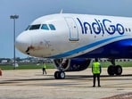 A combined team of airline technical staff and ground crew carried out an intensive search of the aircraft. A combined team of airline technical staff and ground crew carried out an intensive search of the aircraft.