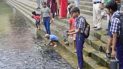 On Tuesday, fish were seen gasping for oxygen at the edges of the tank from where fresh water enters, mainly at Gaumukh, the primary inlet of sweet water. (Anshuman Poyrekar/HT Photo) On Tuesday, fish were seen gasping for oxygen at the edges of the tank from where fresh water enters, mainly at Gaumukh, the primary inlet of sweet water. (Anshuman Poyrekar/HT Photo)
