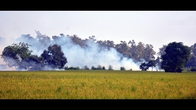 There is no let up in farm-fire incidents in the state as farmers continue to burn stubble. Punjab on Tuesday reported eight farm fire incidents taking the total count to 70. Of this, Amritsar alone reported 42 cases followed by Patiala with eight farm fire incidents. (Sameer Sehgal/HT)