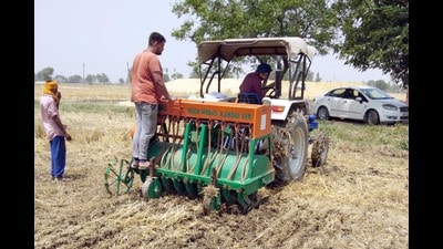 With the aim of scientifically managing paddy stubble, the Punjab Pollution Control Board (PPCB) has directed coal-based thermal power plants in the state to procure biomass pellets and briquettes from nearby areas. (HT File) With the aim of scientifically managing paddy stubble, the Punjab Pollution Control Board (PPCB) has directed coal-based thermal power plants in the state to procure biomass pellets and briquettes from nearby areas. (HT File)