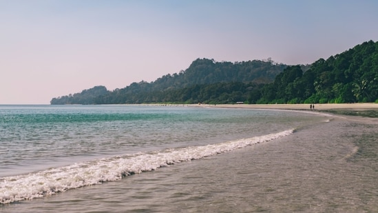 Thunderstorm with gusty wind (40-50 kmph) and lightning is very likely to occur at one or two places over Andaman and Nicobar Islands on September 24. (File) (Unsplash)