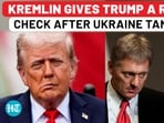 Russia fires back: 'We're a Bear—paper Bears don't exist,' Kremlin says to Trump