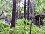 The  <span class='webrupee'>₹</span>150-crore bungalow in Malabar Hill was built by the legendary eye specialist, Sir Jamshedji Duggan (Anshuman Poyrekar/HT Photo)