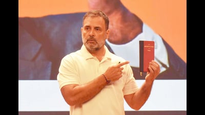 A Pune court, in its order on September 22, dismissed an application filed by Satyaki Savarkar, seeking additional directions in a defamation case against Congress leader Rahul Gandhi. (Hindustan Times) A Pune court, in its order on September 22, dismissed an application filed by Satyaki Savarkar, seeking additional directions in a defamation case against Congress leader Rahul Gandhi. (Hindustan Times)