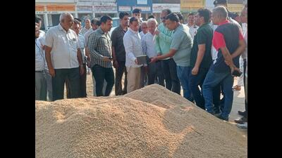 Haryana minister for food, civil supplies and consumer affairs Rajesh Nagar inspecting paddy procurement at Naraingarh grain market of Ambala on Wednesday. (HT Photo) Haryana minister for food, civil supplies and consumer affairs Rajesh Nagar inspecting paddy procurement at Naraingarh grain market of Ambala on Wednesday. (HT Photo)