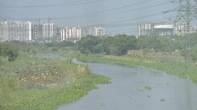 The city forest at Karhera is one of the two city forests in Ghaziabad listed under Master Plan 2031. The other site is behind the Mahamaya stadium. (Sakib Ali/HT Photo) The city forest at Karhera is one of the two city forests in Ghaziabad listed under Master Plan 2031. The other site is behind the Mahamaya stadium. (Sakib Ali/HT Photo)