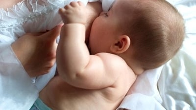 How to stop hyperlactation syndrome? (Adobe Stock) How to stop hyperlactation syndrome? (Adobe Stock)