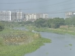 The city forest at Karhera is one of the two city forests in Ghaziabad listed under Master Plan 2031. The other site is behind the Mahamaya stadium. (Sakib Ali/HT Photo) The city forest at Karhera is one of the two city forests in Ghaziabad listed under Master Plan 2031. The other site is behind the Mahamaya stadium. (Sakib Ali/HT Photo)