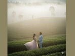 Here are 5 creative Gemini prompts to create ideal pre-wedding photoshoot. Here are 5 creative Gemini prompts to create ideal pre-wedding photoshoot.