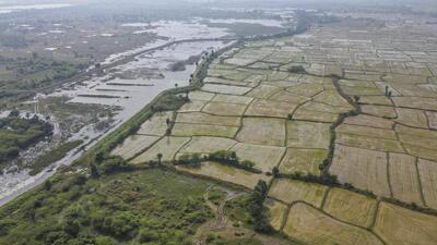 In the last 24 hours two farmers died by suicide in Solapur and another in Dharashiv districts. (PTI)