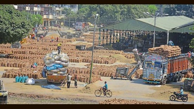 Official data reveals that 9,000 MT of paddy has been procured at the Bhagtanwala grain market in Amritsar on Thursday. (Sameer Sehgal/HT) Official data reveals that 9,000 MT of paddy has been procured at the Bhagtanwala grain market in Amritsar on Thursday. (Sameer Sehgal/HT)