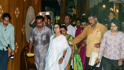 West Bengal chief minister Mamata Banerjee during the inauguration of a grand Durga Puja pandal in Kolkata. (PTI)