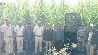 Six-year-old boy was killed in leopard attack at Thakarwadi area in Kumshet village in Junnar tehsil of Pune district on Wednesday. Forest department has set up 10 cages and 5 camera traps (below) around the incident site, and a thermal drone survey is being carried out, said officials. (HT)